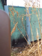 1/12 доли жилой дом 49,5 кв.м и земельный участок 1001 кв.м Челябинская обл. - 1/12 доли в праве на жилой дом, площадь: 49,5 кв.м, назначение: Жилое, кадастровый (условный) номер: 74:05:0200001:394, адрес (местонахождение): 457206, Челябинская обл., Варненский р-н, с. Александровка, ул. Советская…