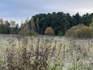 Земельный участок 1087 кв.м КН 50:19:0060124:384 Московская область. Площадь земельного участка: 1087. Кадастровый номер земельного участка: 50:19:0060124:384. Основной вид разрешенного использования: 2.1