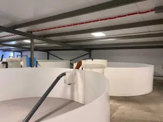 Строительство фермы по выращиванию форели по адресу д. Мещеряково Промпарк «Буинск» Буинского муниципального района, кадастровый номер 16:14:140102:762, общая площадь 1 432,0 кв.м. (в залоге АО «Татагролизинг»); Административное здание, кадастровый номер 16:14:140102:763, общая площадь 57,4 кв.м…