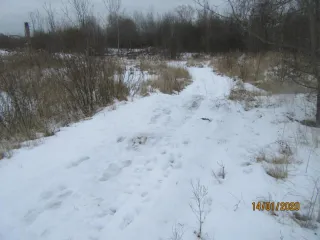 Земельный участок, здания, сооружения 26642 кв.м Московская область. Земельный участок, кадастровый номер: 50:13:0020208:2607, категория земель: земли населенных пунктов, разрешенное использование: под размещение промышленной зоны, общая площадь 26571 кв. м., адрес объекта: Московская область…
