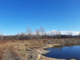 Земельный участок площадью 9938 кв. м, кадастровый номер 41:05:0101048:769, вид разрешенного использования – ведение огородничества и садоводства, местонахождение: Камчатский край, Елизовский р-н, Раздольненское сельское поселение. Основной вид разрешенного использования: 1.0. Площадь земельного…