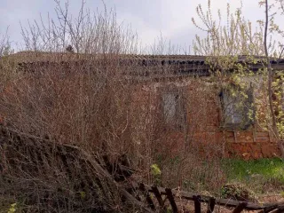 1/2 доля жилого дома, 41,1 кв.м, Оренбургская область, Российская Федерация, м.р-н Северный, с.п. Рычковский сельсовет, с Рычково, ул Нижнеаульная, двлд. 3, кадастровый номер 56:28:1201002:196.