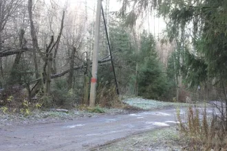 Нежилое здание 47.9 кв.м, Московская область, Пушкинский район, село Тишково, Спецлесхоз «Учинский». Общая площадь: 47.9 кв. м. Количество этажей: 1. Назначение здания: Свободное. Кадастровый номер: 50:13:0040338:2775.