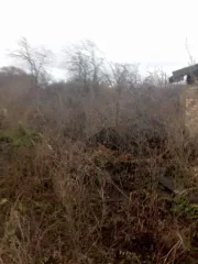 1/2 доли здания и земельного участка в СНТ "Электродчик" (24 кв.м и 447 кв.м), Челябинск, кадастровый (условный) номер 74:36:0109001:205, место нахождения: Россия, г. Челябинск, СНТ "Электродчик", уч. № 90, площадь 447 кв.м. и 1/2 доли в праве общей долевой собственности на нежилое здание, площадь…