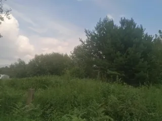 Земельный участок 760 кв.м, садоводство, Красноярский край, Железногорск. Земельный участок для ведения садоводства, с кадастровым номером 24:58:0708001:936, площадью 760 кв. м, по адресу: Российская Федерация, Красноярский край, г.о. ЗАТО город Железногорск, тер. СНТ № 42, ул. № 9, з/у 415, на…