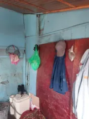 Жилой дом 44.4 кв.м с участком 1845 кв.м, Забайкальский край. Назначение: жилое, 1 этаж. Кадастровый номер дома: 75:24:080102:324, площадь 44.4 кв.м. Расположен по адресу: Забайкальский край, Шилкинский район, с. Богомягково, ул. Центральная, д.1. Земельный участок: категория земель населенных…