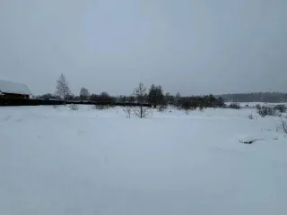 1/2 доля в общей долевой собственности на земельный участок площадью 1583 кв.м, кадастровый номер: 50:03:0050380:2001. Категория земель: земли сельскохозяйственного назначения. Виды разрешенного использования: для дачного строительства. Местоположение установлено относительно ориентира в границах…