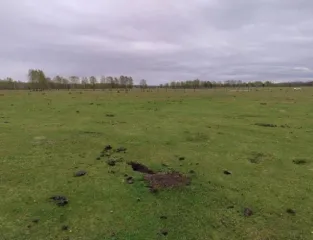 Земельный участок с кадастровым номером: 03:20:110147:173, площадью: 1500 +/- 14 м. кв., расположенный по адресу: Российская Федерация, Республика Бурятия, муниципальный район Тункинский, сельское поселение Кыренское, с. Кырен, ул. Жукова.