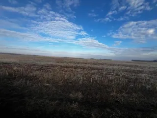 Земельный участок площадью 249530 кв.м для растениеводства. Омская область, Большереченский район, Красноярское сельское поселение. Участок находится примерно в 5750 метрах на северо-запад от деревни Осихино. Кадастровый номер: 55:02:040501:134. Категория земель: сельскохозяйственного назначения…