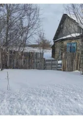 Дом 41,3 кв.м. и земельный участок 2400 кв.м. в Курганской области. Жилое здание, площадь: 41,3кв.м., кадастровый номер: 45:20:021002:70 и земельный участок, площадь: 2 400кв.м., категория земель: Земли населенных пунктов, разрешенное использование: для личного подсобного хозяйства, кадастровый…