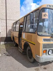 Автобус для перевозки детей ПАЗ-3206-110-70, 2008 года выпуска, VIN X1M3206CX80007732, номер двигателя 523400 81018120, кузов X1M3206CX80007732, категория D, цвет желтый, мощность 130 л.с., объем двигателя 4670 куб.см., бензиновый, экологический класс 3, ПТС 52 МР 287492.