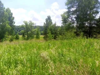 Земельный участок, 2900 кв. м, ИЖС, Московская область, Чехов район, д. Кудаево. В соответствии со статьей 39.18 Земельного кодекса Российской Федерации информируем о возможности предоставления в аренду земельного участка с кадастровым номером 50:31:0050207:547, расположенного по адресу: Московская…