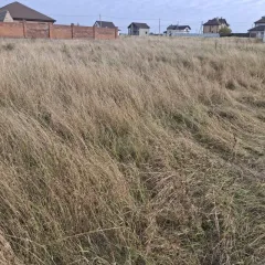 Земельный участок 1000 кв.м в Новопоселеновском сельсовете, деревня Кукуевка, дом 0. Кадастровый номер: 46:11:121203:607. Находится в залоге у ПАО "Сбербанк России".