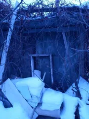 Здание 25 кв.м. и земельный участок 1000 кв.м. в Челябинской области. Здание, площадь 25 кв.м., назначение: Нежилое, адрес (местонахождение): Россия, обл Челябинская, р-н Агаповский, п Приморский, снт Березовая Роща, дом 332, кадастровый (условный) номер: 74:01:0107003:2058 и земельный участок…