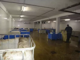 Нежилое помещение площадью 353,9 кв.м, кад. № 36:34:0307023:1471, расположенное по адресу: Воронежская обл., г. Воронеж, ул. Ростовская, д.26, пом.1, находящееся в залоге ПАО Сбербанк.
