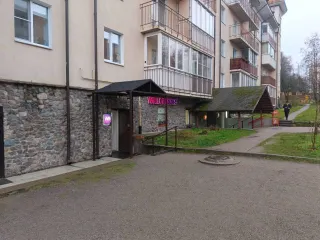 Помещение 329,5 кв.м, Ленинградская обл., Выборгский район, Рощино. Нежилое помещение (кадастровый номер 47:01:0701001:10370) площадью 329,5 кв.м., расположенное по адресу: Ленинградская область, Выборгский муниципальный район, Рощинское городское поселение, гп. Рощино, ул. Шалавина, д. 49Б, корп…