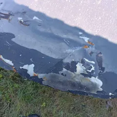 Volkswagen Passat CC 2012 года, VIN: WVWZZZ3CZCE708014, государственный регистрационный номер: Р498УВ196.