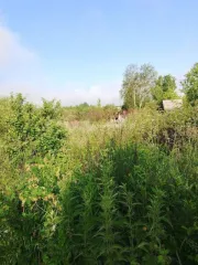 Земельный участок 446 кв.м Челябинская область, площадь 446 кв.м, адрес Российская Федерация, Челябинская область, городской округ Копейский, город Копейск, территория СНТ Кировец, земельный участок 1187, категория земель Земли населенных пунктов, разрешенное использование Для садоводства…