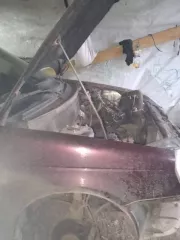 Лада Приора Лада Приора, 2011 года выпуска, цвет темно вишневый, мощность двигателя л.с. 97, рабочий объем двигателя куб.см 1596, разрешенная максимальная масса 1576, масса без нагрузки 1088