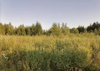 Земельный участок 1500 м², городской округ Ревда Зем. уч. пл. 1500 м2, СО, го Ревда, залог PAO Sberbank - Земельный участок с кадастровым номером 66:21:1401002:410, площадью 1 500 м², местоположение «Свердловская область, городской округ Ревда, севернее с. Кунгурка, урочище Дегтярные, сектор М…