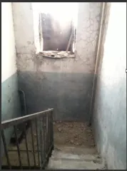 Подвальное помещение общей площадью 38,0 кв.м. с кадастровым номером: 43:27:020105:558, расположенное по адресу: Кировская область, р-н. Подосиновский, пгт. Пинюг, ул. Индустриальная, д. 7 Назначение нежилого помещения: Нежилое Общая площадь: 38 Общие сведения об ограничениях и обременениях…