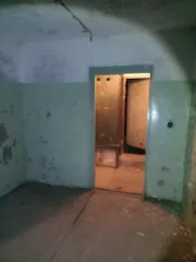 Встроенные нежилые помещения общей площадью 11,5 кв. м (кадастровый номер 59:01:2912530:2251) в подвале 5-этажного многоквартирного дома. Адрес: Российская Федерация, Пермский край, городской округ Пермский, город Пермь, улица Вильямса, дом 12. Помещения пустуют. Общая площадь: 11,5. Кадастровый…