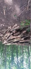 Бревна 209 шт. Бревна 209 шт. 
