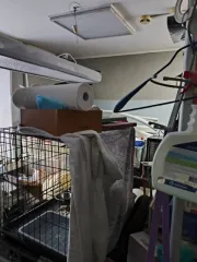 Помещение, 94,5 кв.м, Ханты-Мансийский АО - Югра, Нижневартовск, пр-кт Победы, д. 19а, пом. 1004, площадью 94,5 кв.м., кадастровый номер 86:11:0000000:20311. Нежилое помещение.