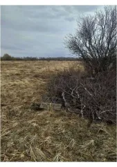 Право аренды земельного участка площадью 10000 +/- 70 кв.м, категория земель: земли населенных пунктов, виды разрешенного использования: для ведения личного подсобного хозяйства, с кадастровым номером 21:06:270201:25, находящегося по адресу: Чувашская Республика - Чувашия, р-н Алатырский, с/пос…