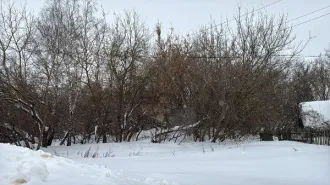 Земельный участок площадью 941 кв.м. Категория: земли населенных пунктов. Вид разрешенного использования: для ведения личного подсобного хозяйства (приусадебный земельный участок). Основной вид разрешенного использования: 2.2. Площадь по проекту межевания: 941 кв.м. Адрес: Московская область…