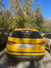 Škoda Kodiaq 2019 года, VIN: XW8LD6NS0LH408507.
