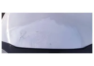 Kia Spectra 2006 года выпуска, VIN: XWKFB227270024753.