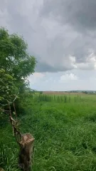 Жилой дом, 42,1 кв. м, Краснодарский край. Жилой дом, площадь 42,1 кв. м. в Краснодарском крае. Жилой дом, площадь 42,1 кв. м., адрес (местонахождение): Россия, край Краснодарский, р-н Крымский, с\п Киевское, х. Карла Маркса, дом 14, кадастровый (условный) номер: 23:15:0417001:113. Без координат…