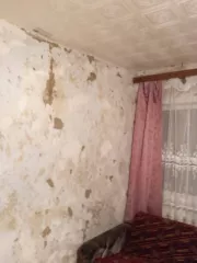 1/3 доли в общей долевой собственности на жилой дом площадью 70,9 кв.м с кадастровым номером 48:16:0510203:286 и 1/3 доли в праве общей долевой собственности на земельный участок площадью 1023+/- 11 кв.м с кадастровым номером 48:16:0510203:67. Вид разрешенного использования: для ведения личного…
