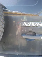 Chevrolet Niva 2010 автомобиль марки Chevrolet модель Niva 2010 года выпуска VIN Х9L212300A0297707 ознакомление с имуществом производится по адресу: Брянская область, город Трубчевск, переулок Полевой д. 24А, с момента публикации сообщения о продаже имущества и до окончания приема заявок по…