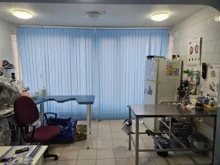 Продажа имущества, находящегося в собственности города Москвы, нежилое помещение по адресу: г. Москва, ул. Палехская, д. 21, пом. 5/1Э,  общей площадью 73,1 кв. м.  (Этаж № 1), кадастровый номер: 77:02:0013004:2401 Продажа имущества, находящегося в собственности города Москвы, нежилое помещение по…