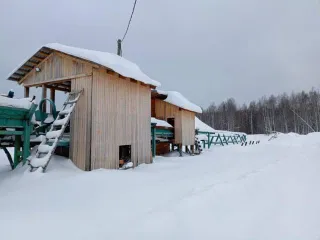 Производственный комплекс, включая недвижимое и движимое имущество: линия сортировки бревен на 7 карманов 2000 года выпуска; окорочный станок с подающим транспортером Cambio 66 1994 года выпуска. Рельсы одиночного пути протяженностью 335 м, кадастровый номер 11:09:0401001:258. Заточный станок для…