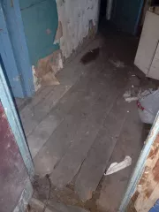 Жилое здание, площадь: 38,5 кв.м., кадастровый номер: 64:38:040501:939 и земельный участок, площадь: 410 кв.м., категория земель: Земли сельскохозяйственного назначения, разрешенное использование: Для ведения садоводства, кадастровый номер: 64:38:040501:381, адрес: Саратовская обл., Энгельсский…
