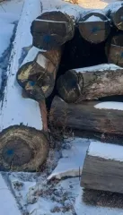 Бревна сосны и лиственницы для распиловки и строгания. Сосновые бревна - 18 штук, лиственницы - 3 штуки. Имущество продается в том виде, в каком оно есть, возврату и обмену не подлежит. Продавец не несет ответственности за скрытые дефекты.