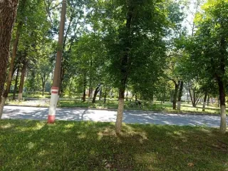Нежилое помещение 272 кв. м, Саранск. Объект аренды, площадь 272 кв. м, номера на поэтажном плане: Этаж 1, ком. №№ 1-7, №20, адрес (местонахождение) объекта: 430027, Мордовия Респ, Саранск г, 50 лет Октября пр-кт, дом № 2, пом. 1. Общая площадь: 272