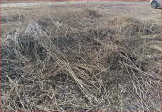 Земельный участок площадью 1400 кв.м, расположенный по адресу: Курганская область, Далматовский район, с. Новопетропавловское, ул. Советская, д. 25. Кадастровый номер: 45:04:040302:6. На участке расположено незарегистрированное строение (кад. номер 45:04:040302:428), находящееся в ветхо-аварийном…