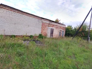 Земельный участок 328 кв.м со строениями 127,1 и 46,8 кв.м, Курганская обл. Земельный участок, площадь 328 кв.м., адрес: Россия, обл Курганская, р-н Куртамышский, г Куртамыш, пр-кт Конституции, дом 29, корпус А, кадастровый номер: 45:09:020204:1148. Административно-хозяйственное, площадь 127,1…