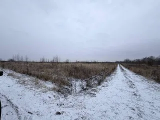 Земельный участок 600 кв.м в Московской области, городской округ Раменский, деревня Аргуново. Кадастровый номер: 50:23:0050573:1513. Площадь: 600 +/- 17 кв.м. Категория земель: сельскохозяйственного назначения. Вид разрешенного использования: для ведения садоводства.