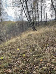 Земельный участок площадью 962 +/- 11 кв. м, категория земель: земли сельскохозяйственного назначения, разрешенное использование: для ведения садоводства, расположенный по адресу: Московская область, Каширский район, ТОО "Каширское", с кадастровым номером: 50:37:0010202:485. Цена: 108810,00 руб.