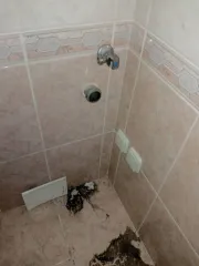 Квартира, 59,6 кв.м, 2-комнатная, Свердловская область, город Екатеринбург, ул. Токарей, д. 24, кв. 256