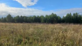 Земельный участок 1500 кв.м для индивидуального жилищного строительства. Иркутская область, Иркутский район, сельское поселение Ширяевское, деревня Ширяева, улица Надежды, земельный участок 39. Кадастровый номер: 38:06:111302:6076.