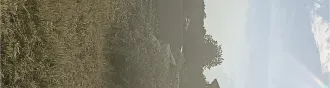 Земельный участок с кадастровым номером 72:01:0104001:594, площадью 493 +/  16 кв. м, расположенный по адресу: Тюменская область, Абатский район, территория СНТ «Строитель», ул. № 7, участок 18, с расположенным на нем кирпичным строением  дачный дом  площадью 16 кв. м. Земельный участок с…