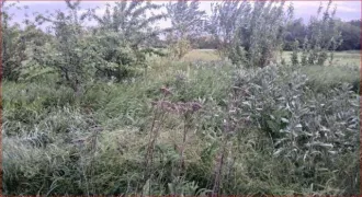Доли дома и участка, 68,1 кв.м, Краснодарский край, ст. Терновская 1/4 доля дома и 1/4 доля земельного участка в Краснодарском крае еще 1/4 доля дома и 1/4 доля земельного участка в Краснодарском крае еще 1/4 доля в праве на жилое здание, площадь: 68,1кв.м., кадастровый номер: 23:32:0503013:697 и…