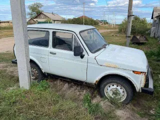 ВАЗ21213 1997 года выпуска, цвет белый, ПТС 45 НЕ 092511, госномер Р712АО45, кузов XTA212130W1306259. Пробег указан приблизительный, так как машина не заводится и узнать пробег нет возможности.