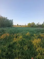 Земельный участок 2000 кв.м., Белгородская область, назначение: Земли населенных пунктов, адрес (местонахождение): Белгородская область, р-н Губкинский, с. Дубянка, кадастровый (условный) номер: 31:03:1906001:254. Обращаю внимание, что границы земельного участка не установлены в соответствии с…